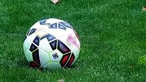 金年会官网6676首页 产品 101433 ark