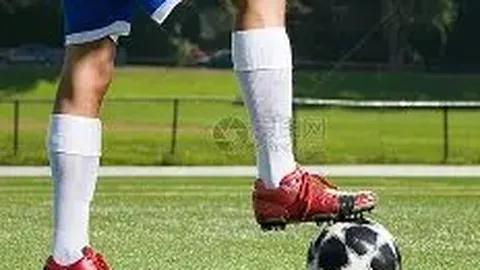 金年会官网6676首页 产品 104109 rkc